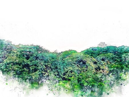 Abstract colorful branch tree at garden park on watercolor illustration painting background.の写真素材