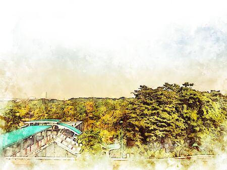 Abstract colorful branch tree at garden park on watercolor illustration painting background.の写真素材