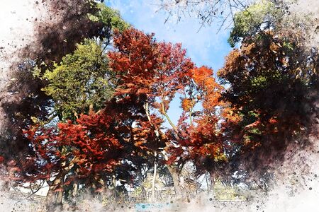 Abstract colorful branch tree in forest on watercolor illustration painting background.の写真素材