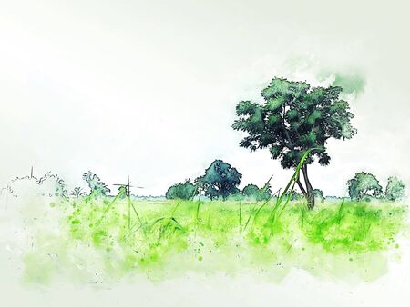 Abstract colorful shape on tree and field landscape watercolor illustration painting background.の写真素材