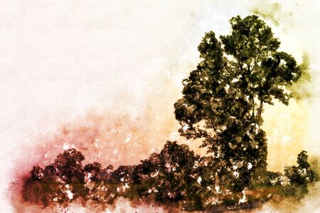 Abstract colorful shape on tree and field landscape watercolor illustration painting background.の写真素材