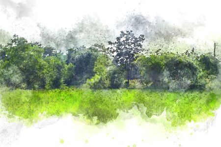 Abstract colorful shape on tree and field landscape watercolor illustration painting background.の写真素材