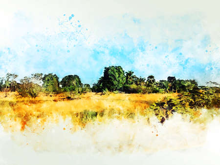 Abstract colorful tree and field landscape on watercolor illustration painting background.の写真素材