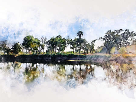 Abstract colorful tree and field landscape on watercolor illustration painting background.の写真素材
