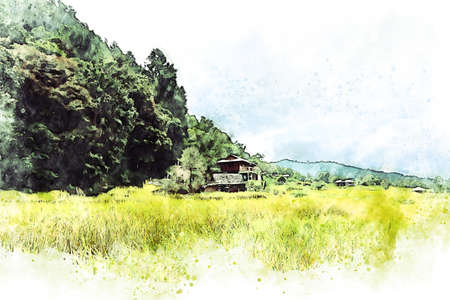 Abstract colorful tree and field landscape in Thailand on watercolor illustration painting background.の写真素材
