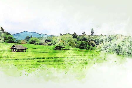 Abstract colorful tree and field landscape in Thailand on watercolor illustration painting background.の写真素材