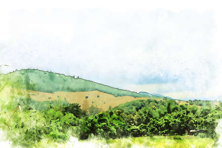 Abstract colorful tree and field landscape in Thailand on watercolor illustration painting background.の写真素材