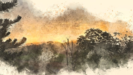 Digital painting of trees in the mist at sunset. Watercolor illustrationの写真素材