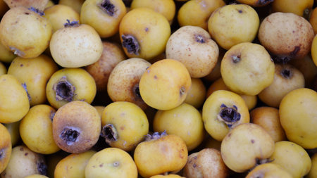 Detail of white hawthorn fruitsの写真素材