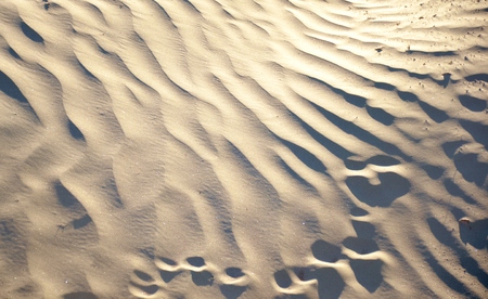 Outdoor landscape of wild desert with patterns and animal foot printsの写真素材