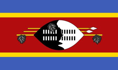Eswatini flag national material designのイラスト素材