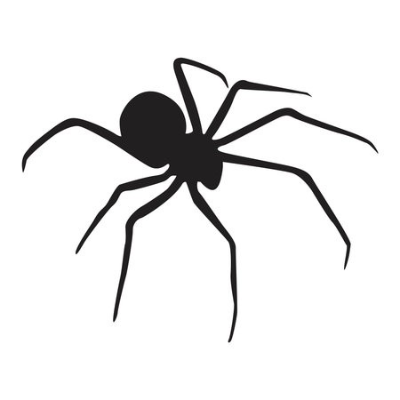 Black silhouette illustration of a spider with long legsのイラスト素材
