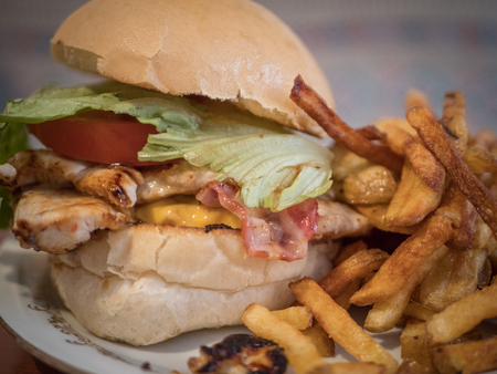 Homemade hamburger with french fries placed on white dishの写真素材