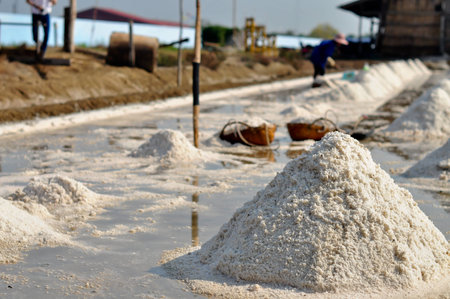 Row of salt farming Thailand