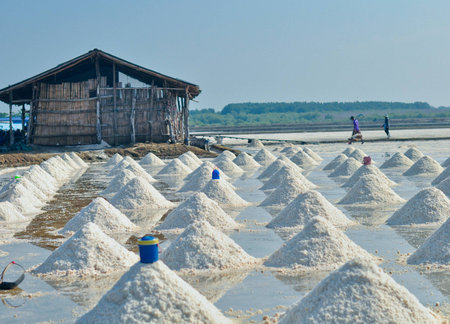 Workers in salt farming Thailandの写真素材