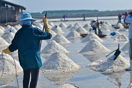 Workers in salt farming Thailandの写真素材