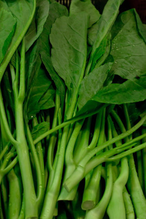 Fresh chinese brocolli kale in marketの写真素材