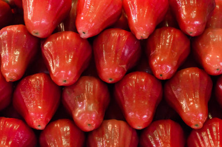 Fresh row of rose apples in marketの写真素材