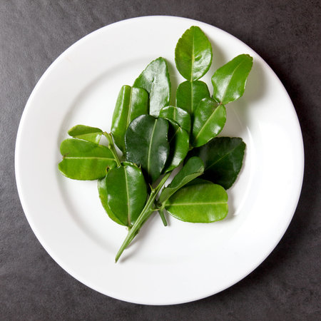 bergamot leaves in the white plateの写真素材