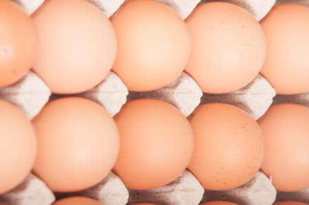 eggs on white backgroundの写真素材