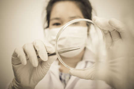 Scientists are experimenting with chemicals. A scientific beaker vitro camera microscope can be used in scientific articles or books about chemistry, scientists are Asian women .の写真素材