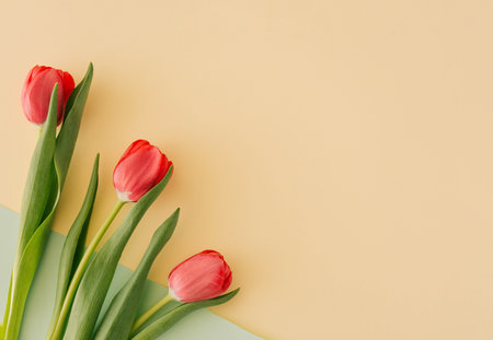 Red tulips with green leaves arranged on light yellow background with copy space. Flower concept....