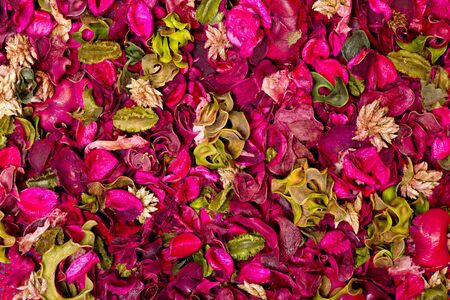 rich texture of bright colorful carpet of flowersの写真素材