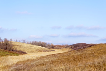 old river bed between two hills, grassyの写真素材