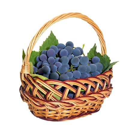 wicker basket with brushes of dark grapes isolated on white backgroundの写真素材