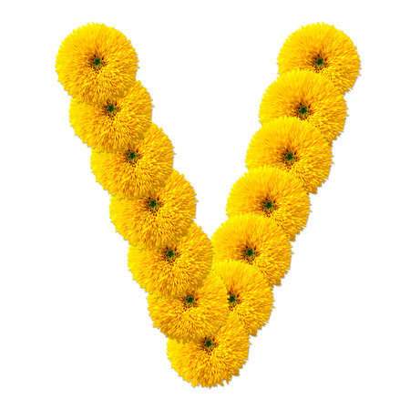 letter of the alphabet of flowers isolated on white backgroundの写真素材