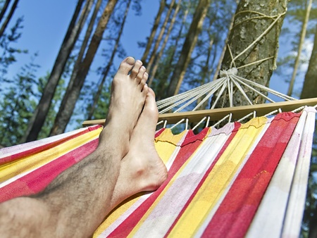 feet in the hammock on a background of pine forestの写真素材