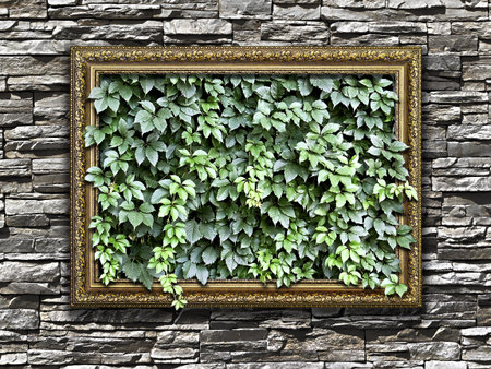 frame on the stone wall with green leaves insideの写真素材