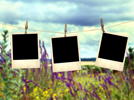 Old instant photos on the background of wild flowersの写真素材