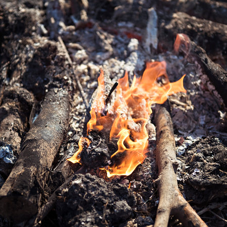Burning bonfire close-upの写真素材