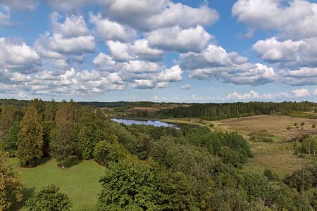 view of a forest lake surrounded by a pine forestの写真素材