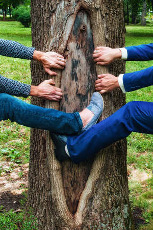 Comic imitation of spreading the bark of a treeの写真素材