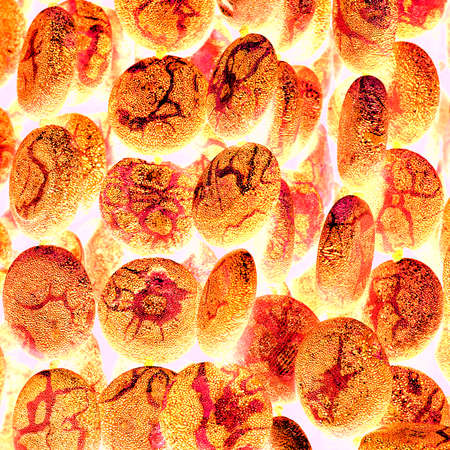 red-hot stones in a stream of fire close up as a background or bannerの写真素材