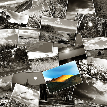 collage of many pictures of nature lying in a heap