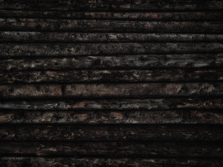 Vintage dark wooden background from a row of tree trunks with barkの写真素材