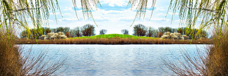 view from the shore to the opposite bank of the riverの写真素材