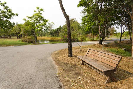 one chair in parkの写真素材