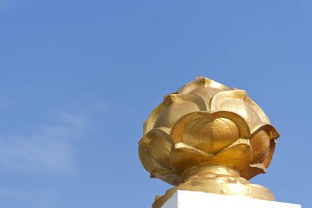 gold lotusの写真素材