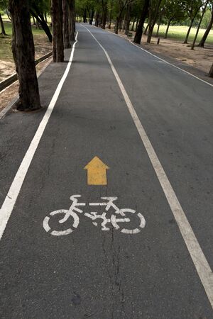  bicycle path in the park It s been a long time, so it is not clear の写真素材