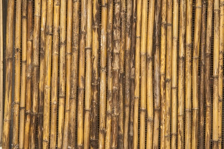 old bamboo texture vertical lineの写真素材