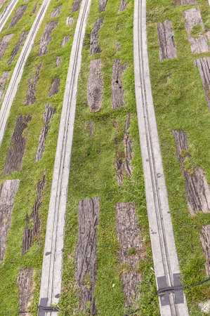 Old Wood on Fresh green grass backgroundの写真素材