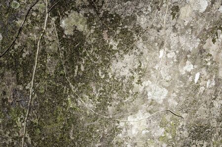Stone texture with mossの写真素材