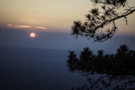 Zen is a tree on the cliff sunsetの写真素材