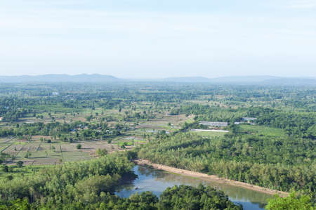 Small farm green field in bird eye view の写真素材