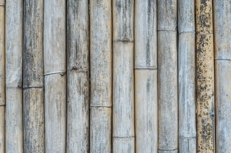 Bamboo texture の写真素材