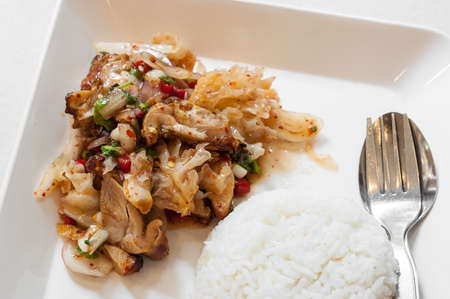 Spicy asian chicken with riceの写真素材